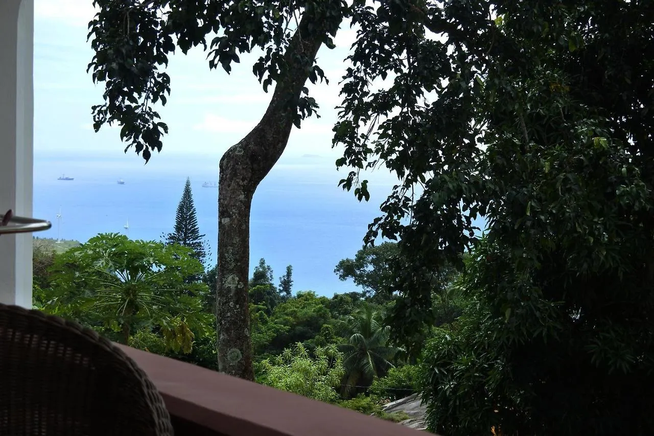 Contemporary Studio With Sea View In Mahe 56M² + Terrace contacts